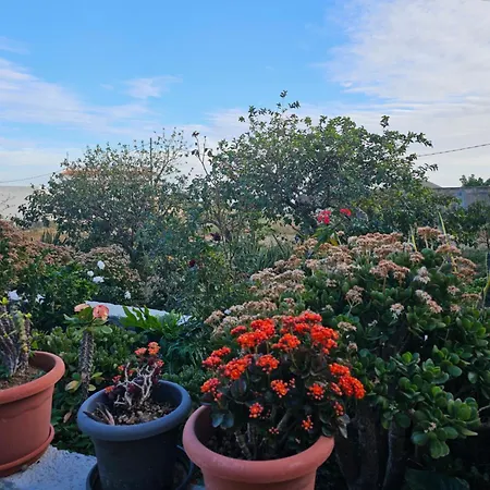Apartament Eterna Primavera Fayna